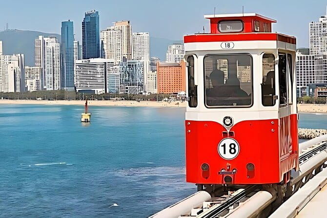 Busan City Top Attractions Full day Tour - Practical Tips for Travelers