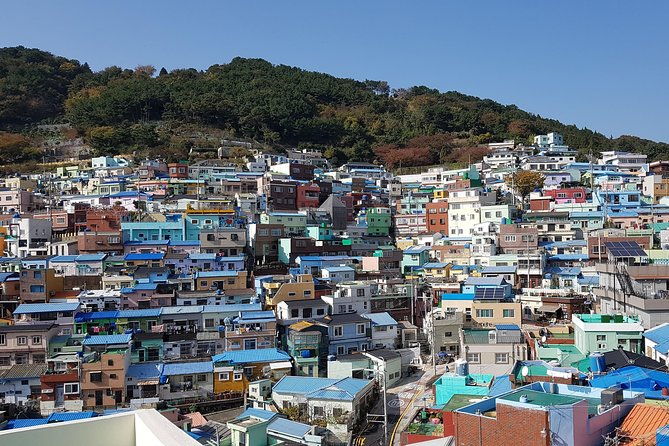 Busan city tour from Seoul by KTX bullet train - Who Will Love This Tour?