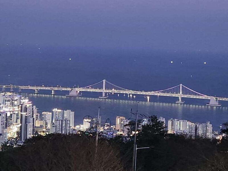busan-night-view-tour-yacht-hwangnyeongsan-mountain