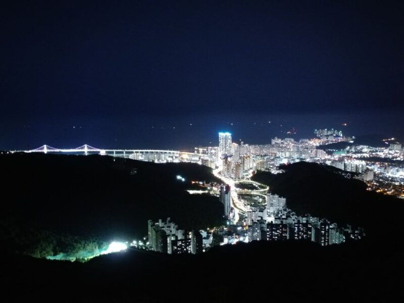 busan-night-viewpoints-with-evening-cruise-w-fireworks
