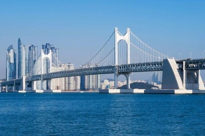 Busan ONE-DAY Highlights for PRIVATE CRUISE PASSENGER'S - What Travelers Say About the Experience
