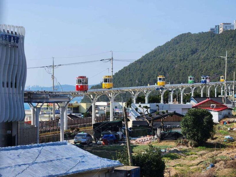 busan-private-tour-with-an-official-tour-guide