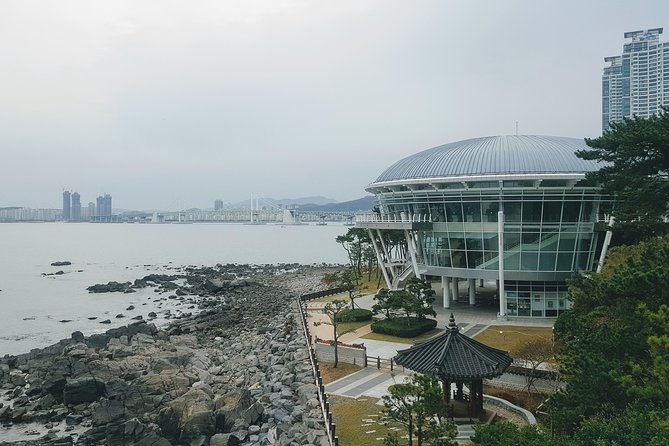 Busan Shore Excursion; Private City Tour - The Experience and Its Benefits