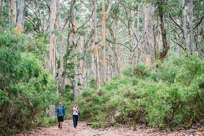 Busselton, Margaret River and Augusta 2-Day Tour from Perth - From the Travelers’ Perspective