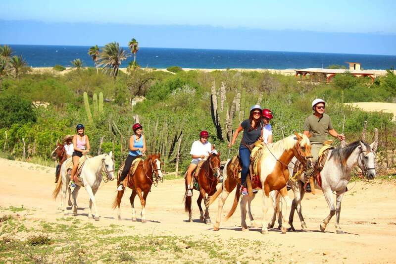 cabo-san-lucas-horseback-riding-in-migrino-with-transfers