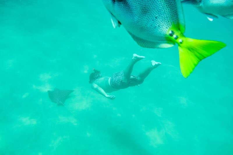 cabo-san-lucas-snorkeling-at-lovers-beach