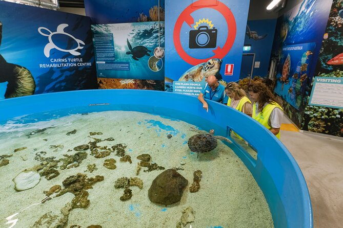 Cairns Aquarium General Admission and Turtle Hospital Tour - A Closer Look at the Experience