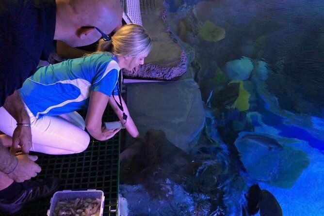 Cairns Aquarium Marine Life Encounter Ticket - The Experience in Detail: Sights, Sounds, and Practicalities