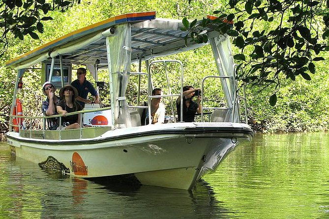 Cairns Reef/Rainforest : Daintree Rainforest & Great Barrier Reef - Practical Considerations and Value