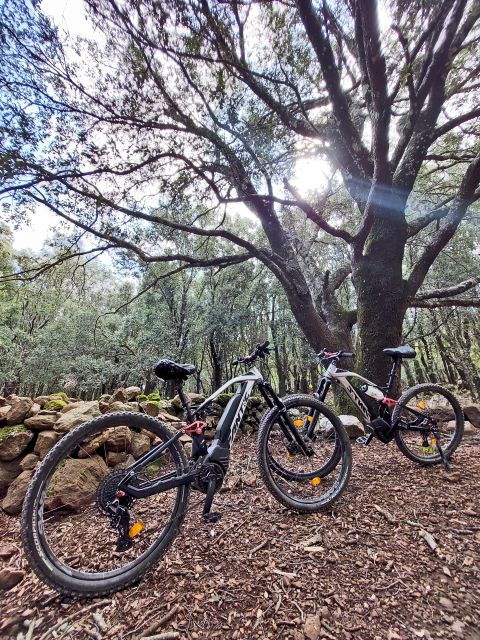 cala-gonone-and-dorgali-e-bike-tour