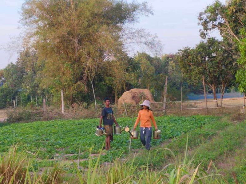 cambodia-cooking-class-oxcart-ride-with-local-village-tour