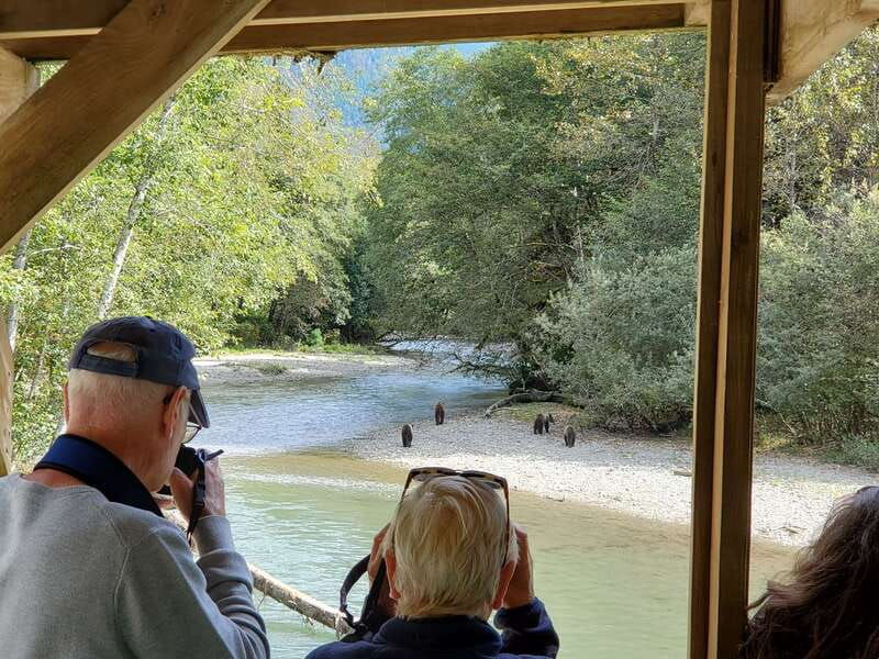 campbell-river-grizzly-bear-watching-tour-with-lunch