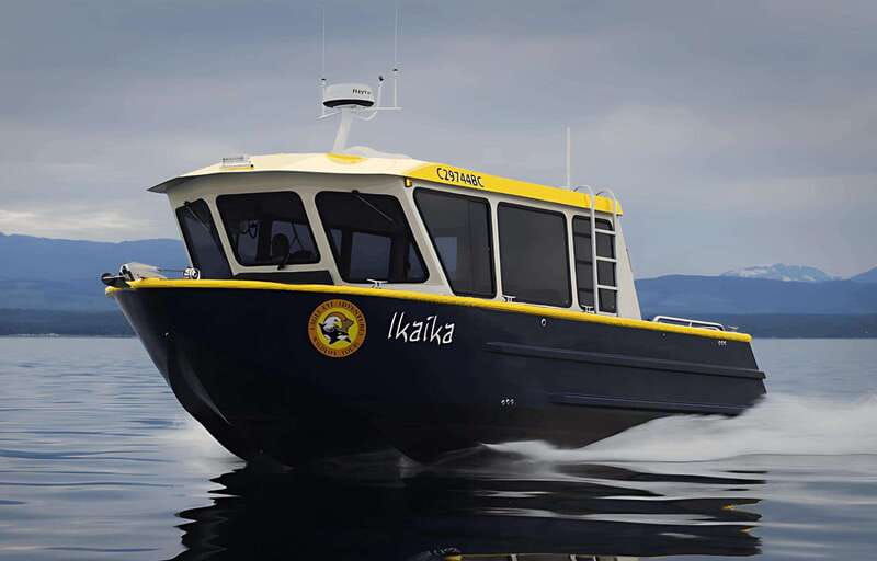 campbell-river-whale-watching-covered-boat-tour-with-lunch