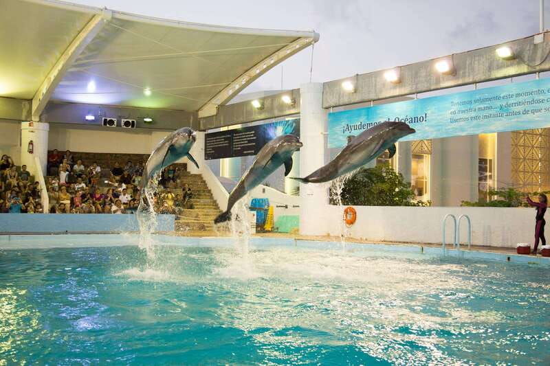 cancun-interactive-aquarium-admission-dolphin-presentation