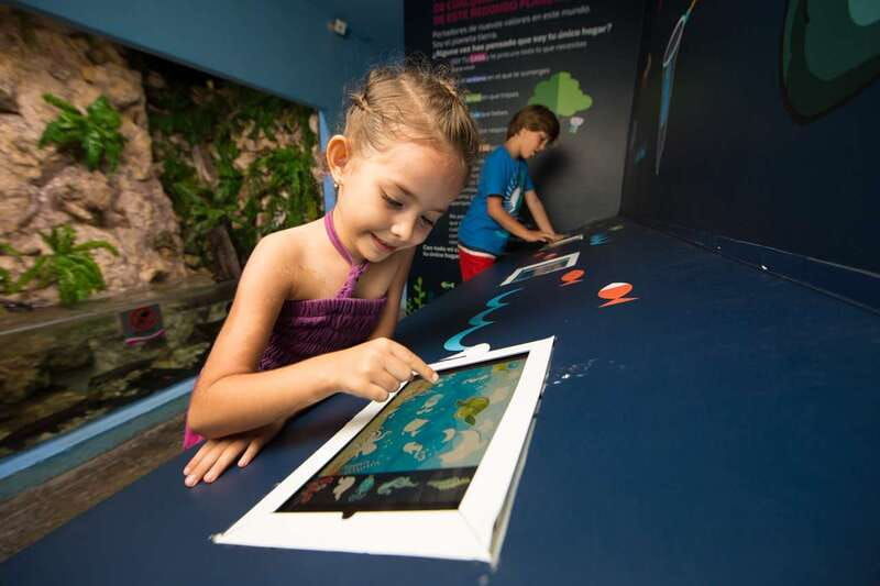 cancun-interactive-aquarium-admission