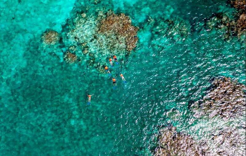 cancun-jungle-tour-adventure-with-speedboat-and-snorkeling
