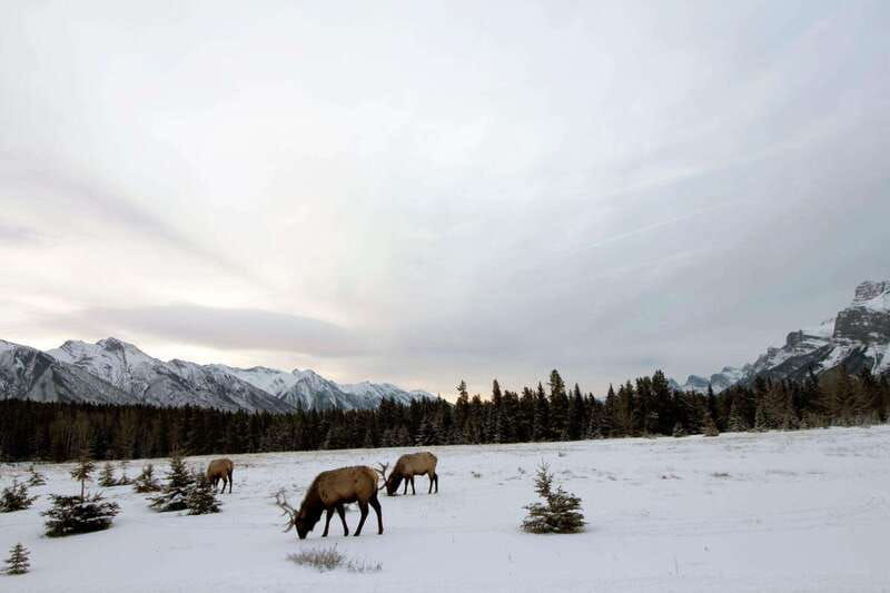 canmore-the-winter-wonderland-hiking-tour-transportation