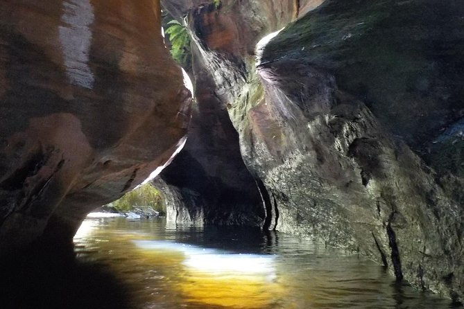 Canyoning at Twister and Rocky Creek: Two Canyons In One Day - Authentic Insights from Reviewers