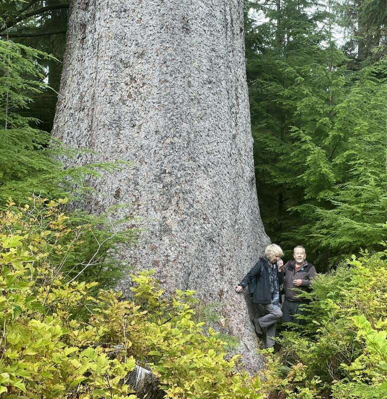 cape-scott-san-josef-bay-day-hike-with-scenic-drive