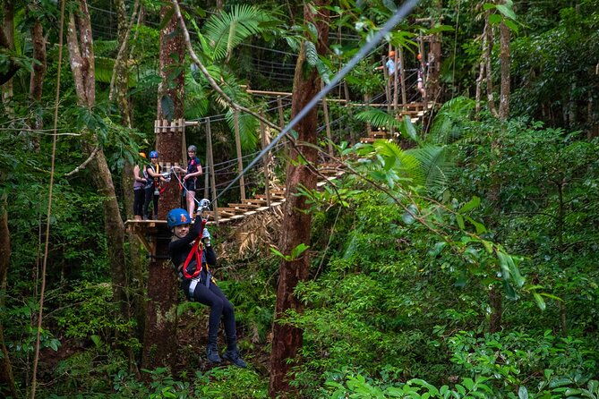 Cape Tribulation & Ziplining: Ultimate Daintree - Why This Tour Offers Real Value