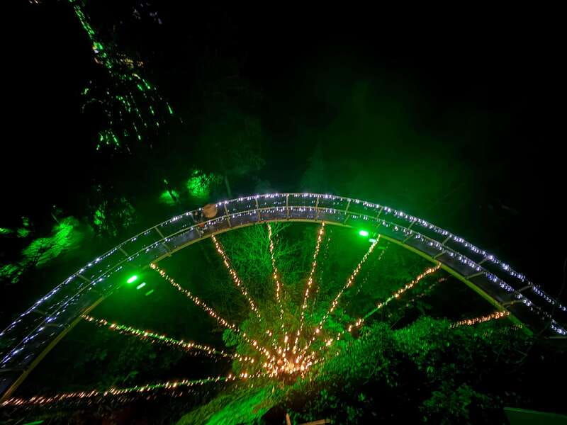 capilano-suspension-bridge-charismas-canyon-light-lux-car