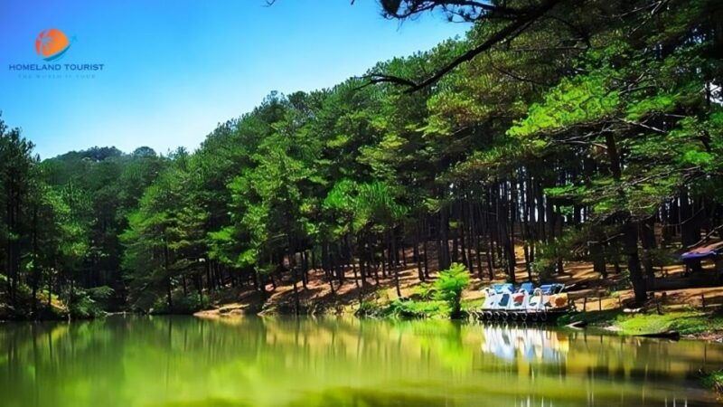 car-rental-service-in-dalat-private-with-driver