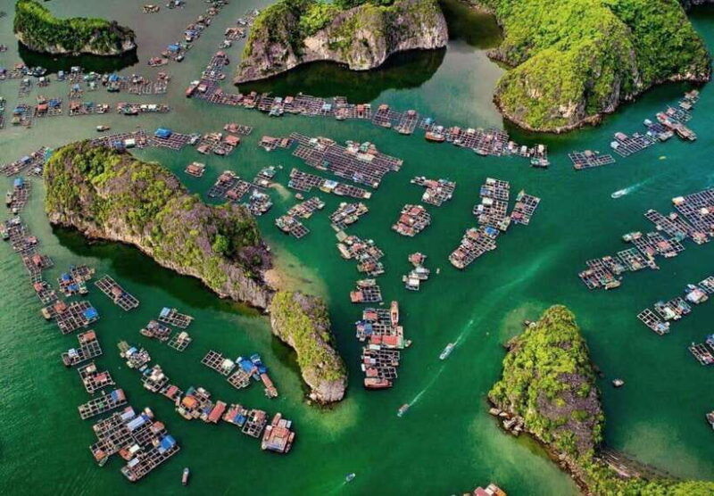 cat-ba-island-lan-ha-bay-day-trip-kayaking-swimmingbiking