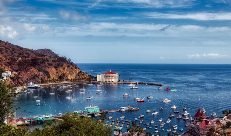 catalina-island-yellow-semi-submarine-cruise