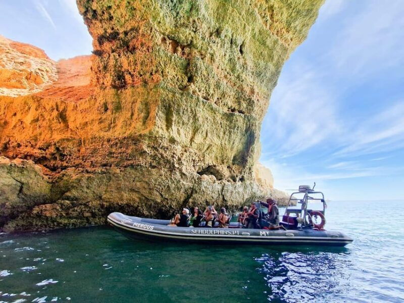 caves-dolphins-combined-trip