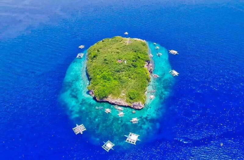 cebu-moalboal-sardines-and-turtles-snorkeling-tour