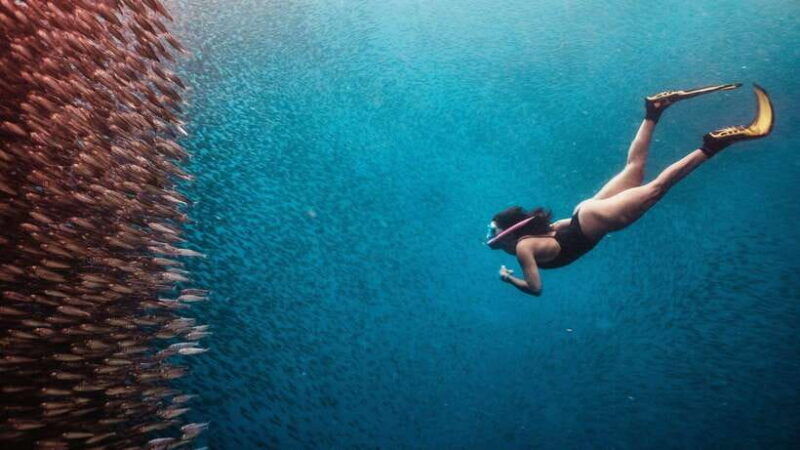cebu-sardine-turtle-snorkelling-run-mantayupan-falls