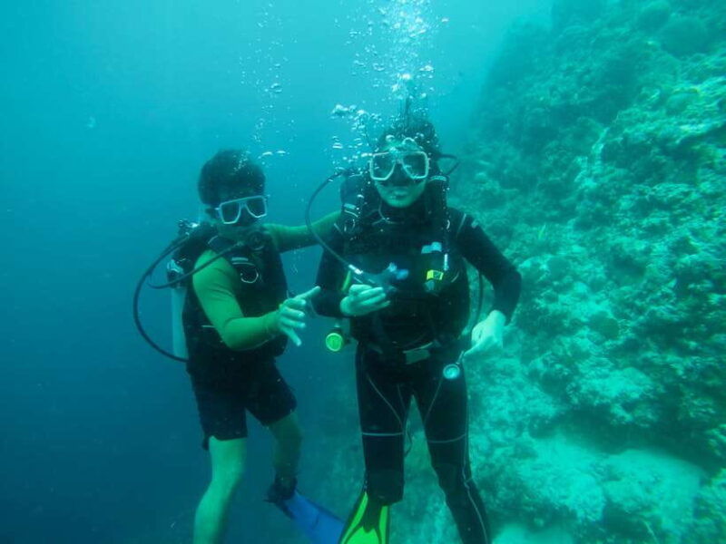 cebu-scuba-diving-with-sardines-and-pescador-island-snorkel