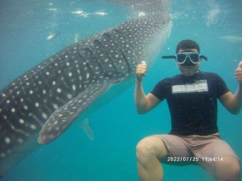 cebu-whaleshark-encounter-tumalog-falls-sumilon-sandbar