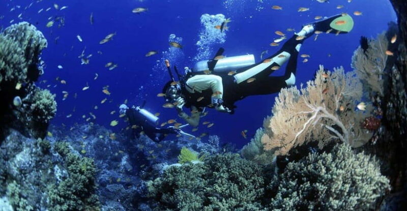 cham-islands-snorkeling-tour-by-speedboat-hoi-an-da-nang-2