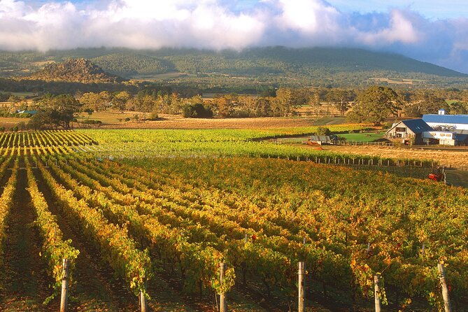 Champion Racehorse Tour with Beer and Wine Tasting - The Practicalities: What You Need to Know