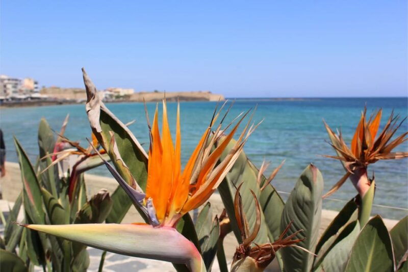 chania-private-walking-tour-history-sights-food-senses