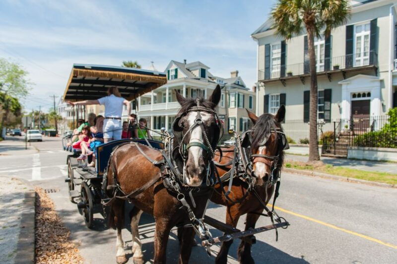charleston-downtown-horse-drawn-carriage-tour