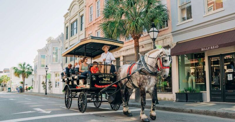 charleston-historical-downtown-tour-by-horse-drawn-carriage