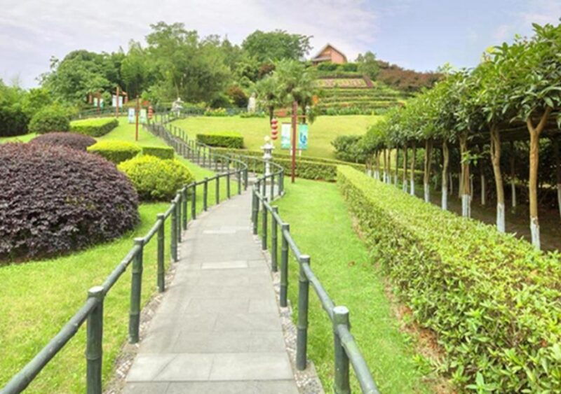 chengdu-panda-leshan-buddha-one-day-private-tour
