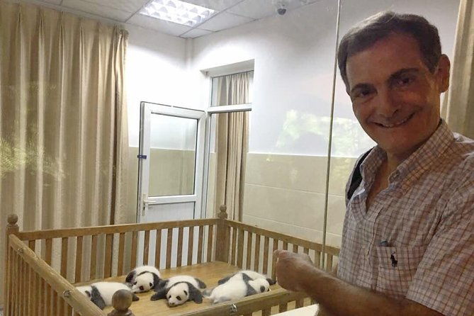 Chengdu Private Sightseeing Tour with Panda Breeding Center Visit - In-Depth Look at the Itinerary