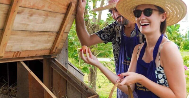 chiang-mai-authentic-thai-cooking-class-and-farm-visit