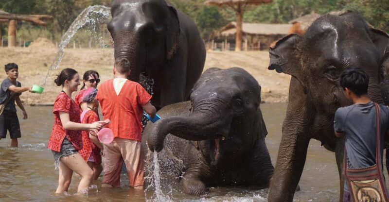 chiang-mai-elephant-care-long-neck-sticky-waterfall-tour