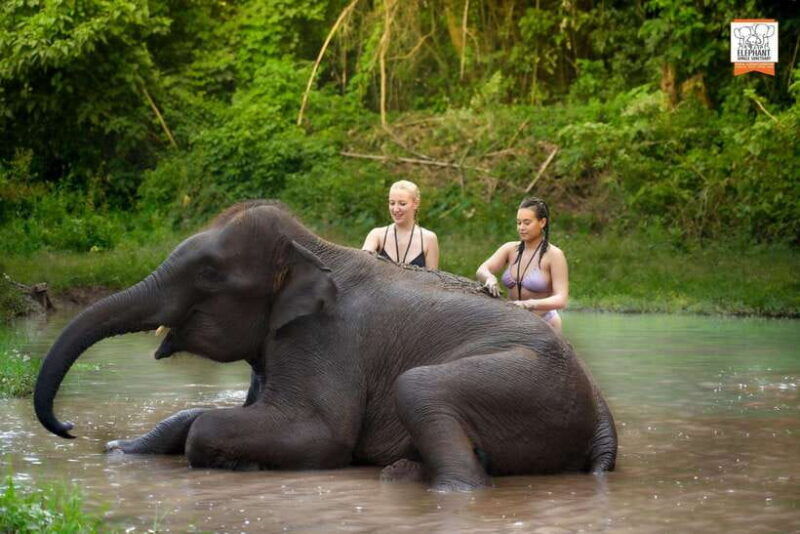 chiang-mai-elephant-jungle-sanctuary-mama-noi-cooking-class