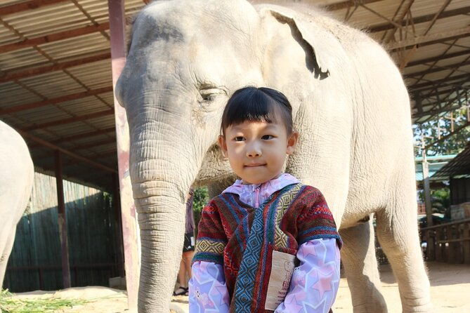 Chiang Mai Elephant Sanctuary Small Group Ethical Tour - Who Should Consider This Tour?