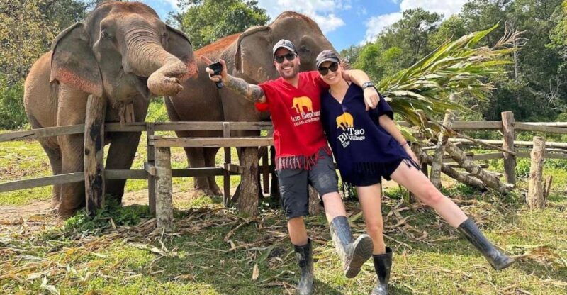 chiang-mai-ethical-elephant-sanctuary-and-atv-adventure