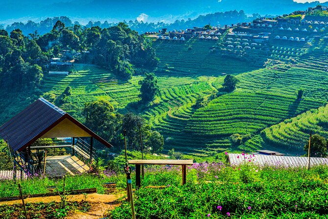 Chiang Mai Mon Jam Highlands and Pongyang Full-Day Private Tour - Mon Jam: The Viewpoint of Dreams