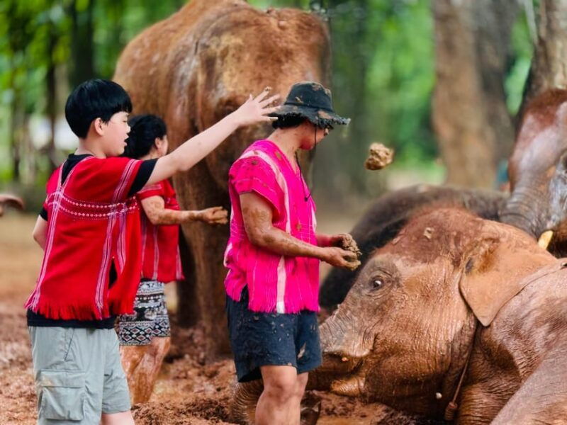 chiang-mai-temple-nature-and-culture-in-one-day
