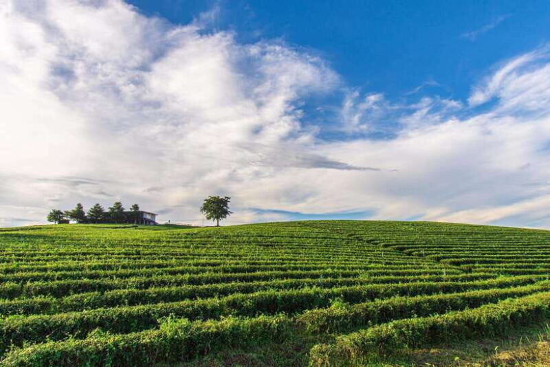 chiang-rai-7-stop-tour-with-english-guide-thai-buffet