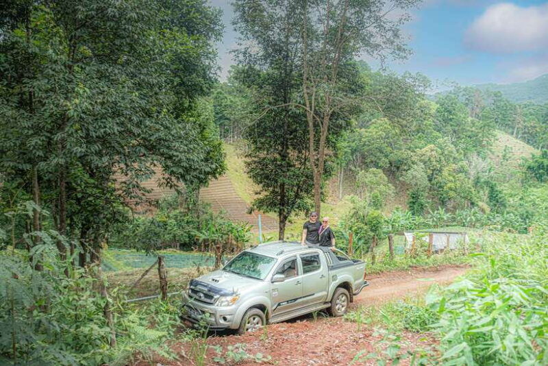 chiangmai-hilltribe-coffee-forest-trek-plant-roast-brew