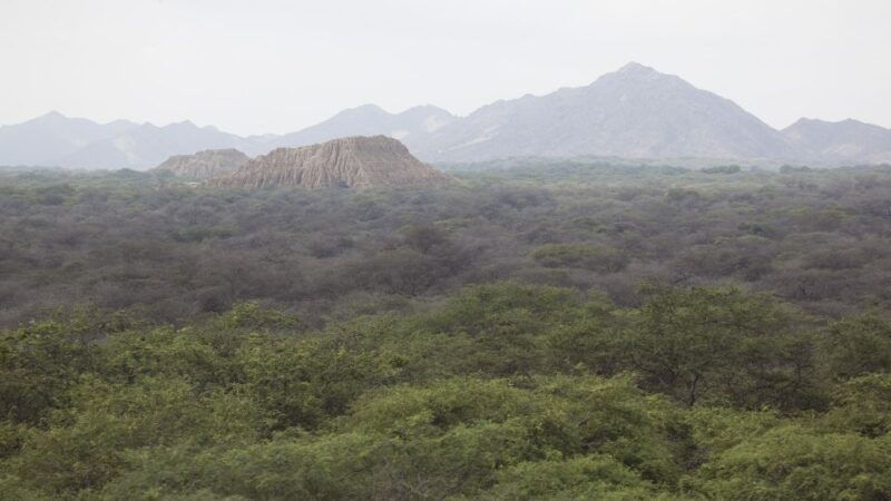 chiclayo-pomac-forest-historic-sanctuary-sican-museum